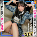 おひな（mfcs219）